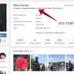 how to put status on VK