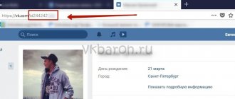 Проверка на Фейк ВКонтакте 1