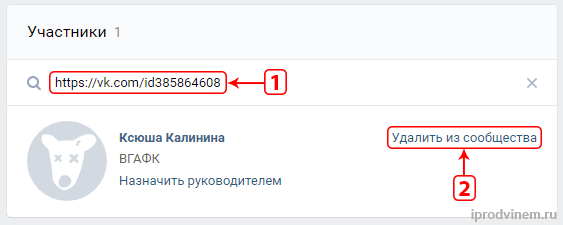 Удаляем подписчиков из группы Вконтакте