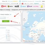 Filling out the fields on the PLNET main page